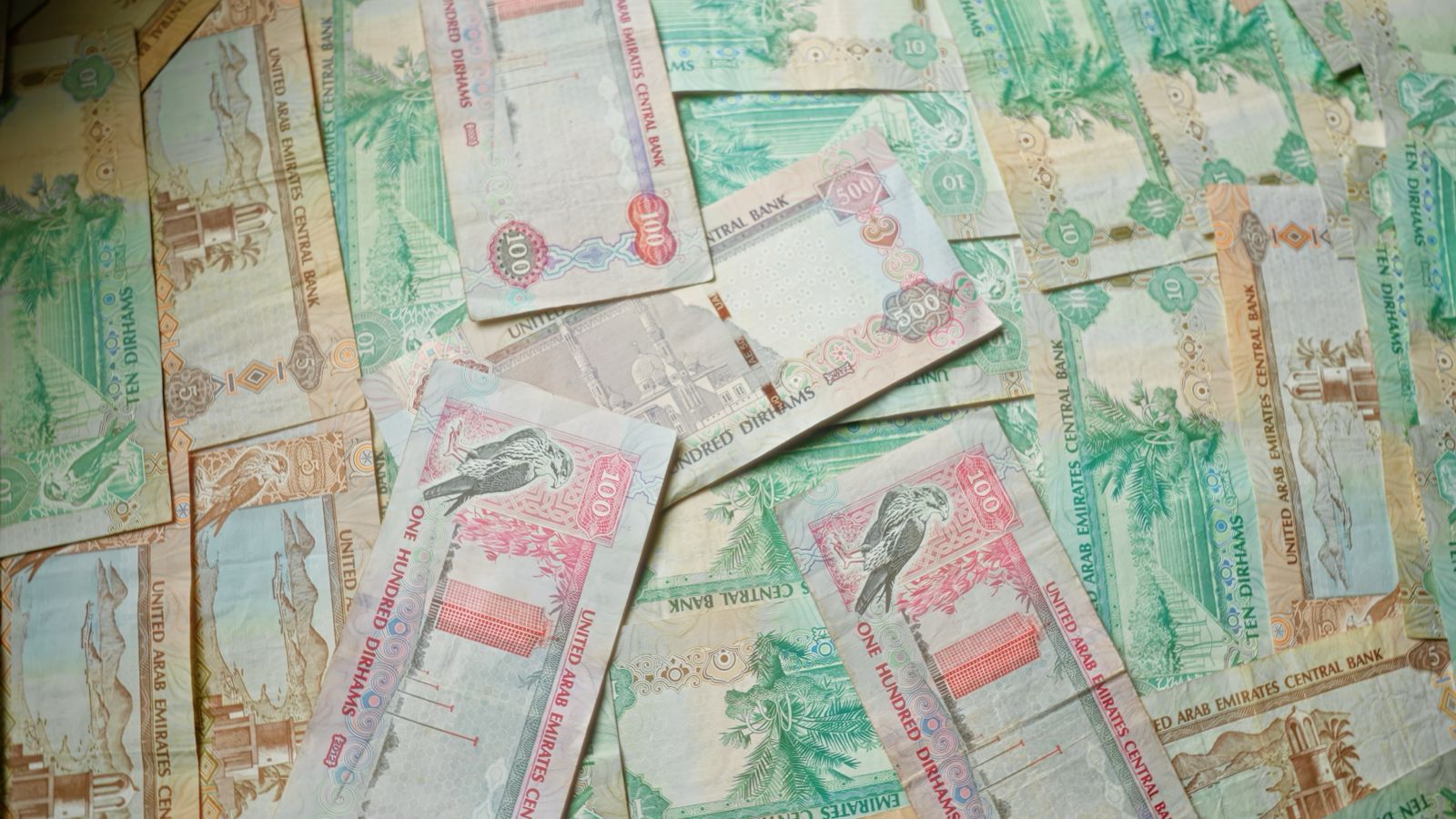 UAE Central Bank Crisis Measures