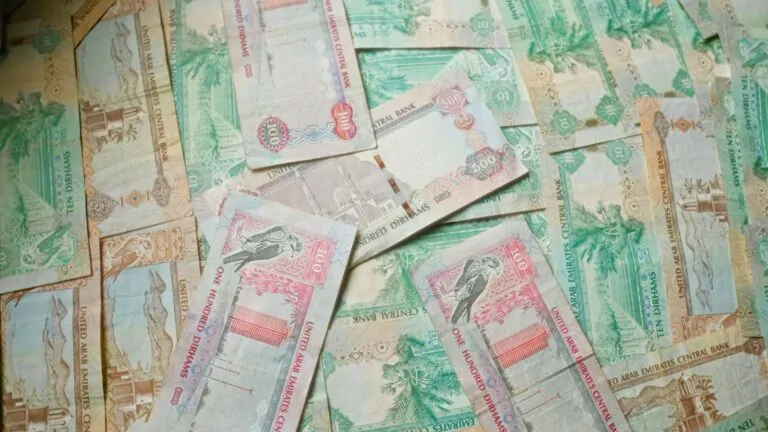 UAE Central Bank Crisis Measures